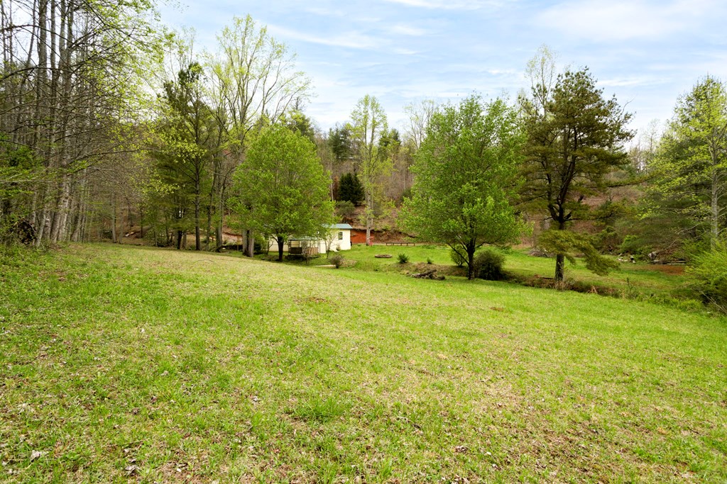 349 Kirby Lane Murphy, NC 28906 - Photo 37 of 56