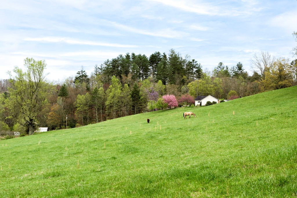 349 Kirby Lane Murphy, NC 28906 - Photo 39 of 56