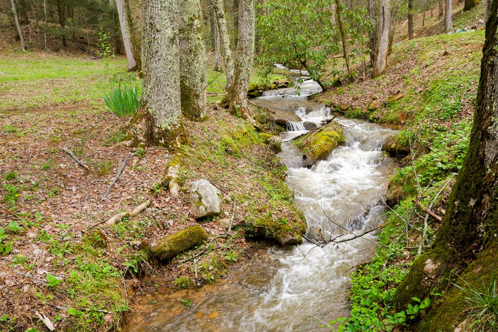 349 Kirby Lane Murphy, NC 28906 - Photo 42 of 56
