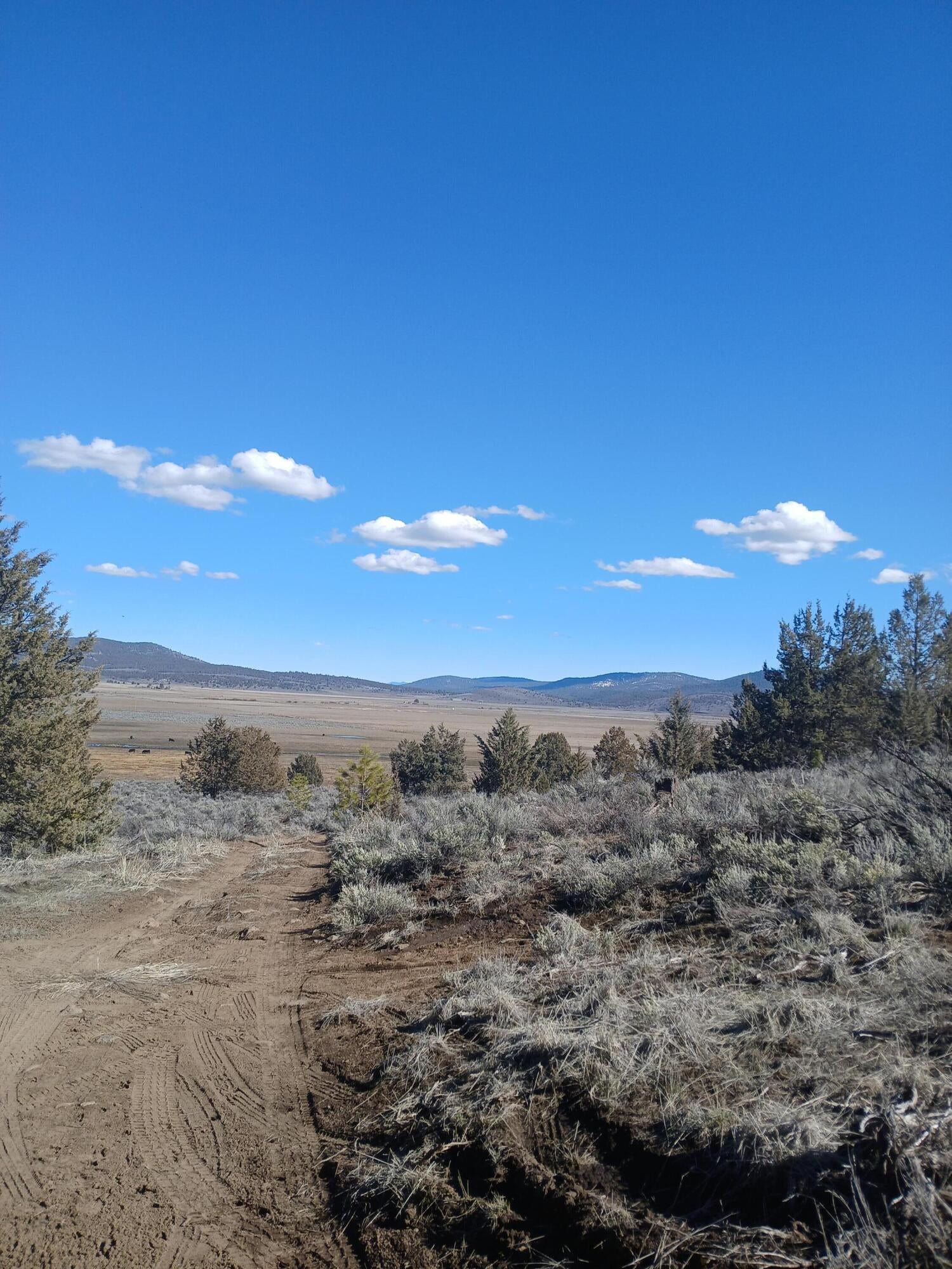 0 Drews Road Chiloquin, OR 97624 - Photo 2 of 14 20250324_154627