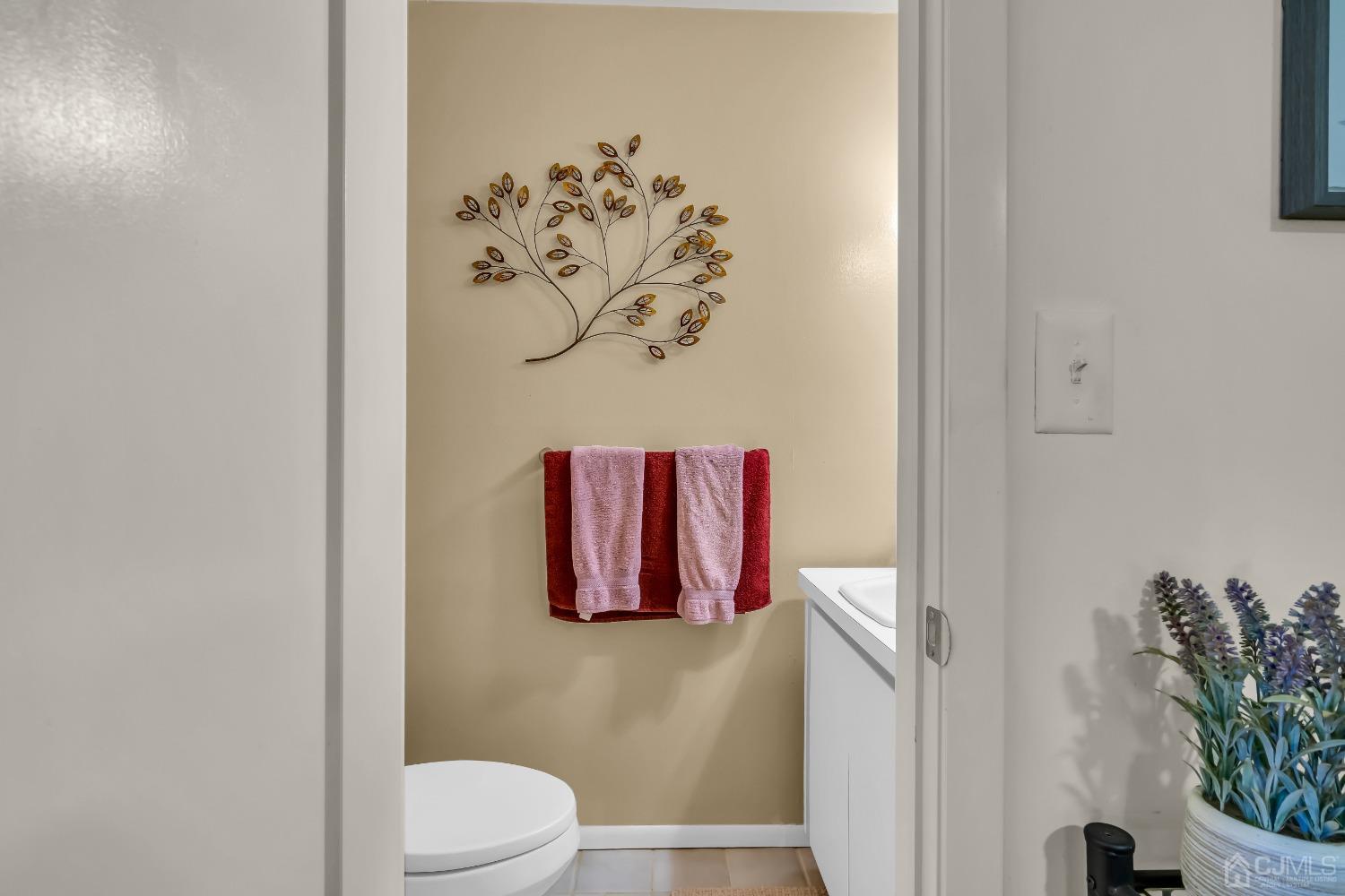 6 Georgetown Road Old Bridge, NJ 08859 - Photo 31 of 45 a bathroom with a toilet and a shower curtain
