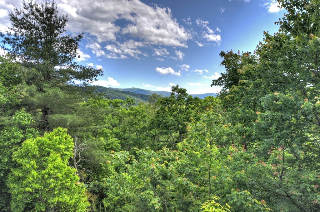 80 Tom Tom Trail Blue Ridge, GA 30513 - Photo 26 of 67 Gallery Image 26