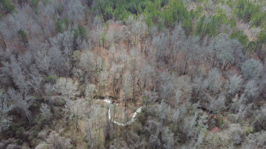 0 Irvin Road Shiloh, GA 31826 - Photo 21 of 46 Gallery Image 21