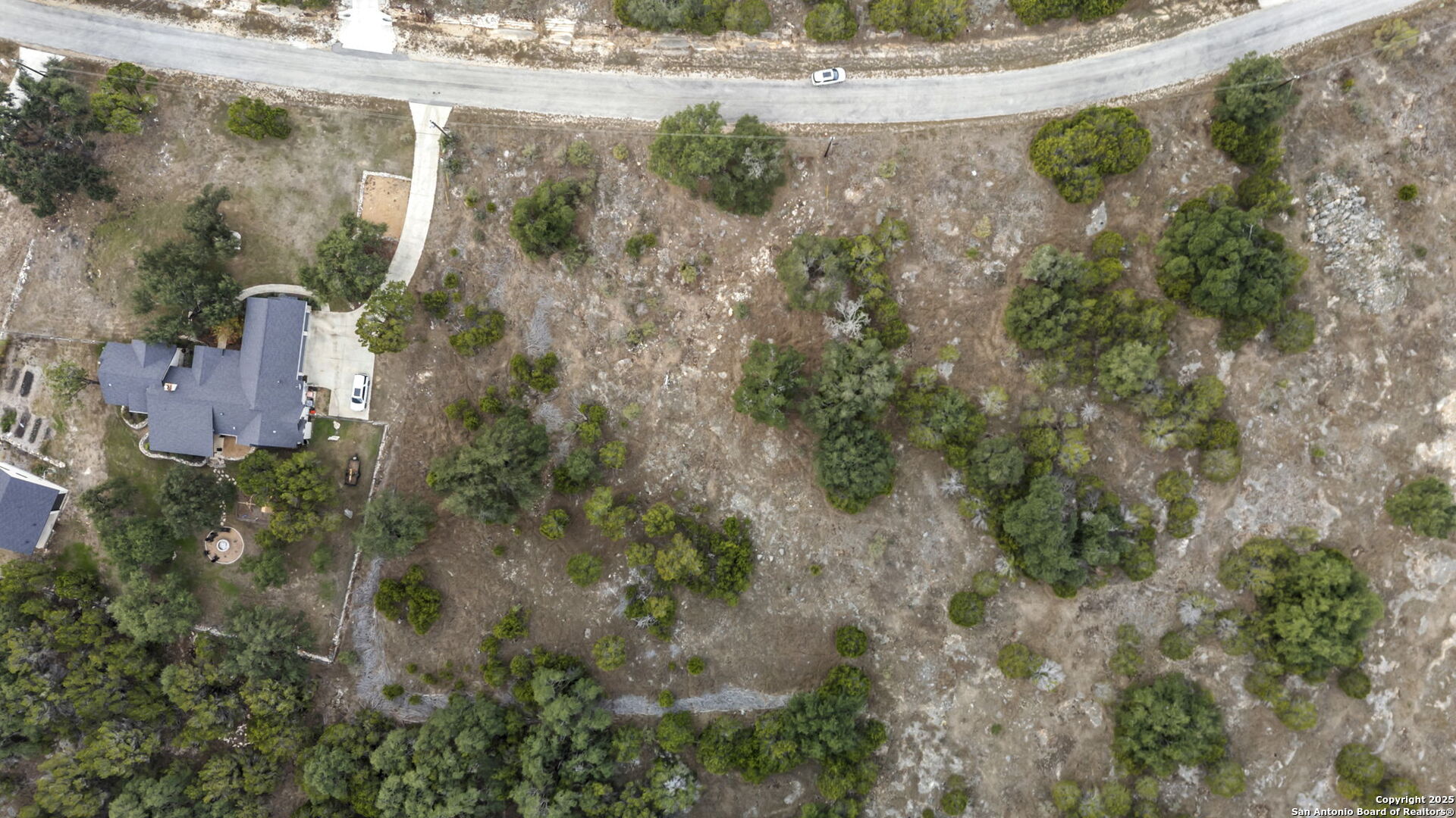 137 Red Tail Cove Spring Branch, TX 78070 - Photo 13 of 13 a view of a yard with plants