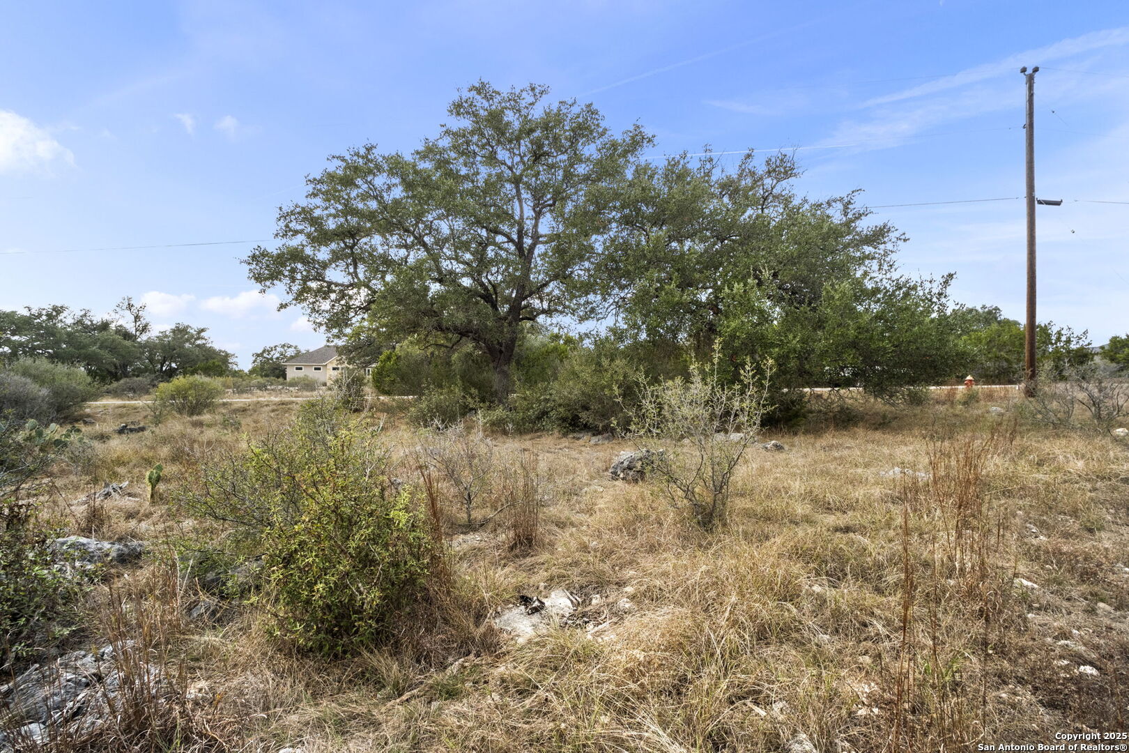 137 Red Tail Cove Spring Branch, TX 78070 - Photo 2 of 13 a view of a yard with a tree
