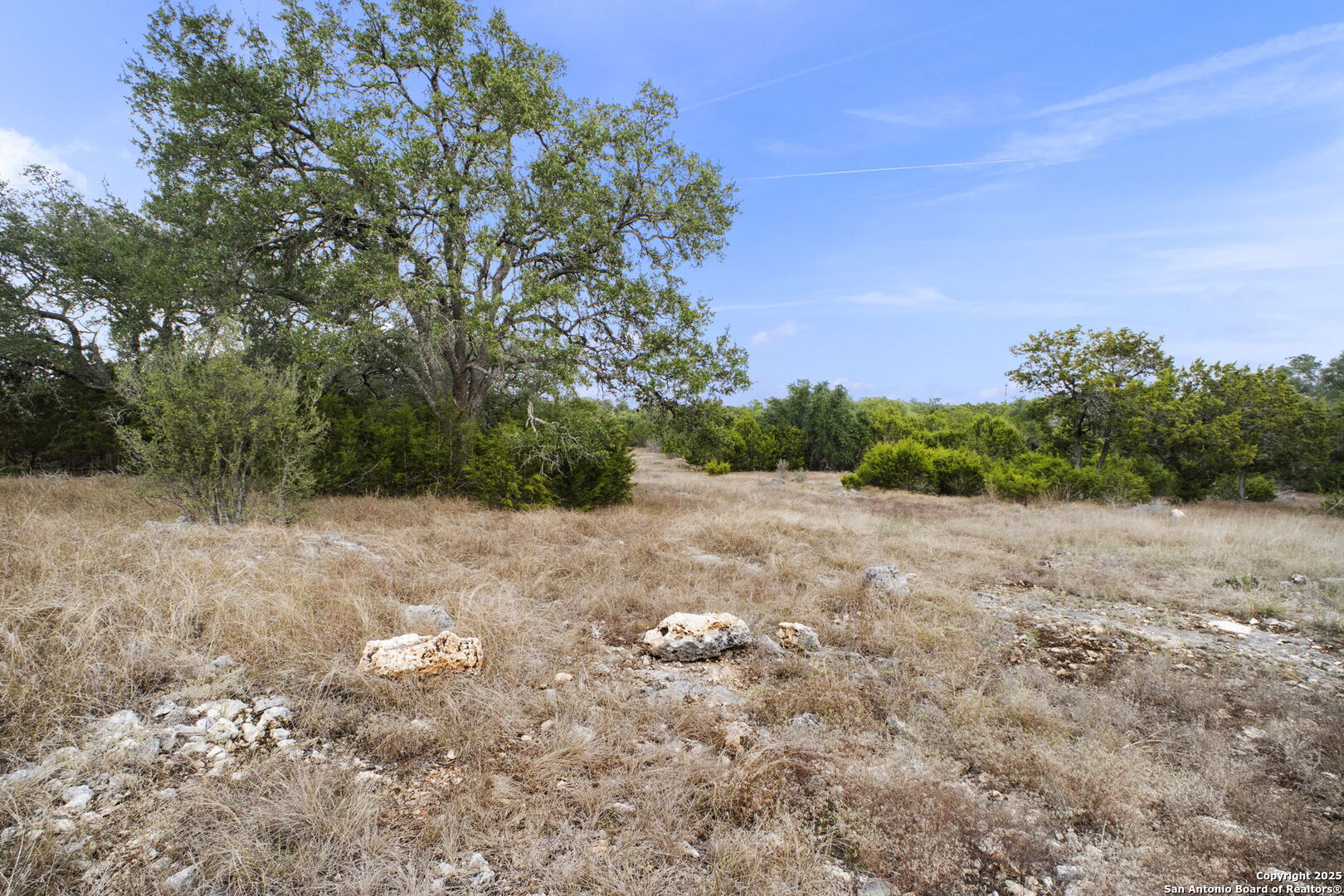 137 Red Tail Cove Spring Branch, TX 78070 - Photo 3 of 13 a view of a field with trees in background
