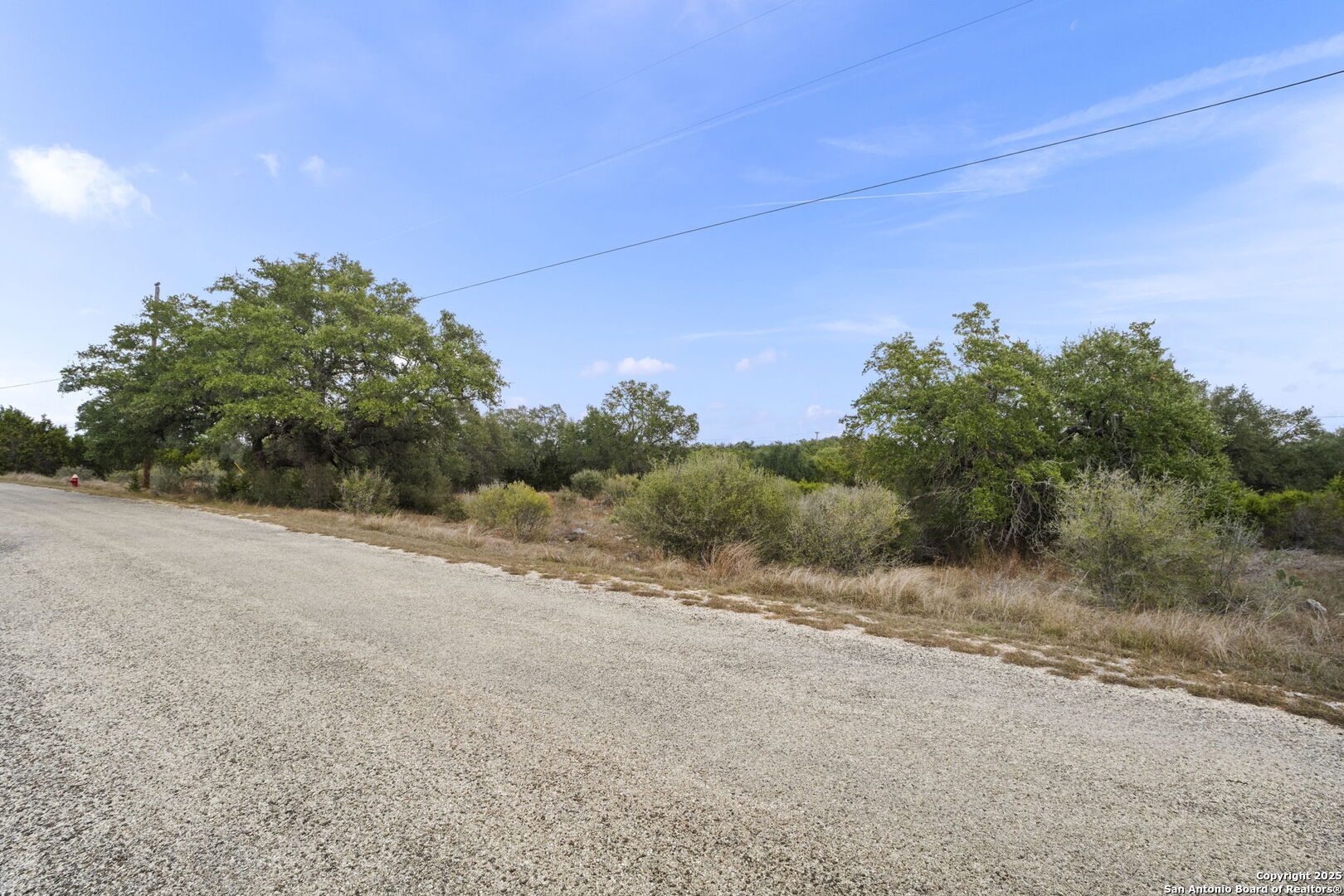 137 Red Tail Cove Spring Branch, TX 78070 - Photo 4 of 13 a view of a field with trees in background