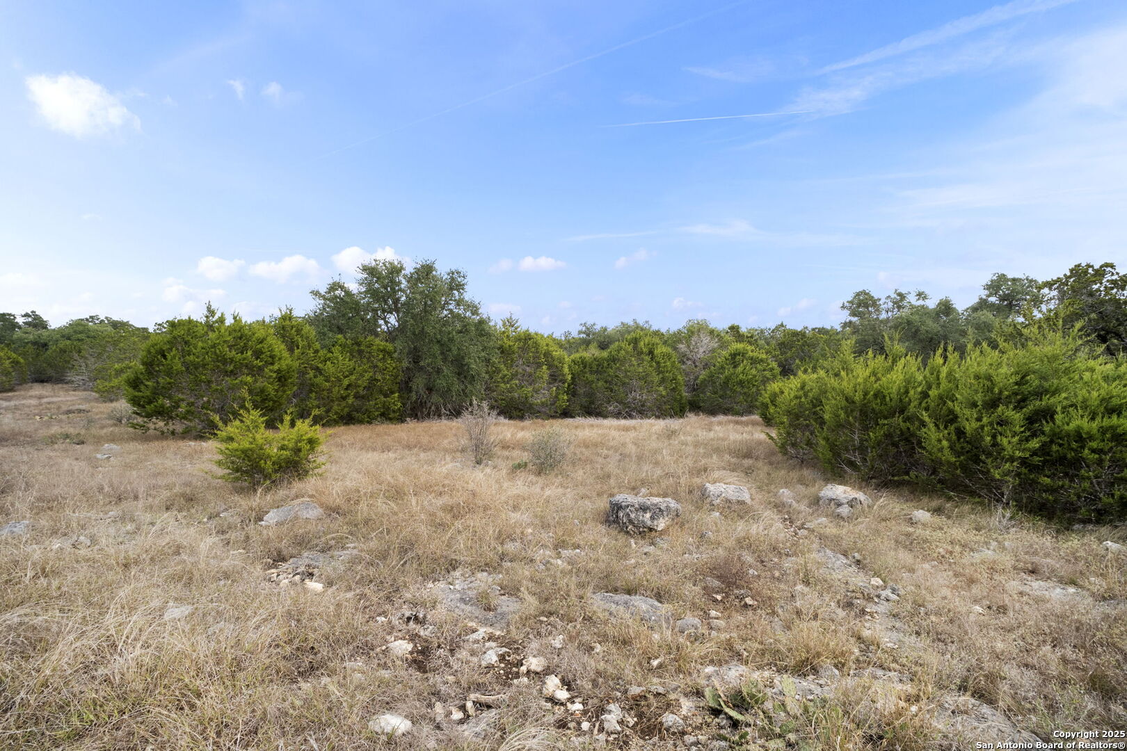 137 Red Tail Cove Spring Branch, TX 78070 - Photo 6 of 13 a view of a yard with trees in the background