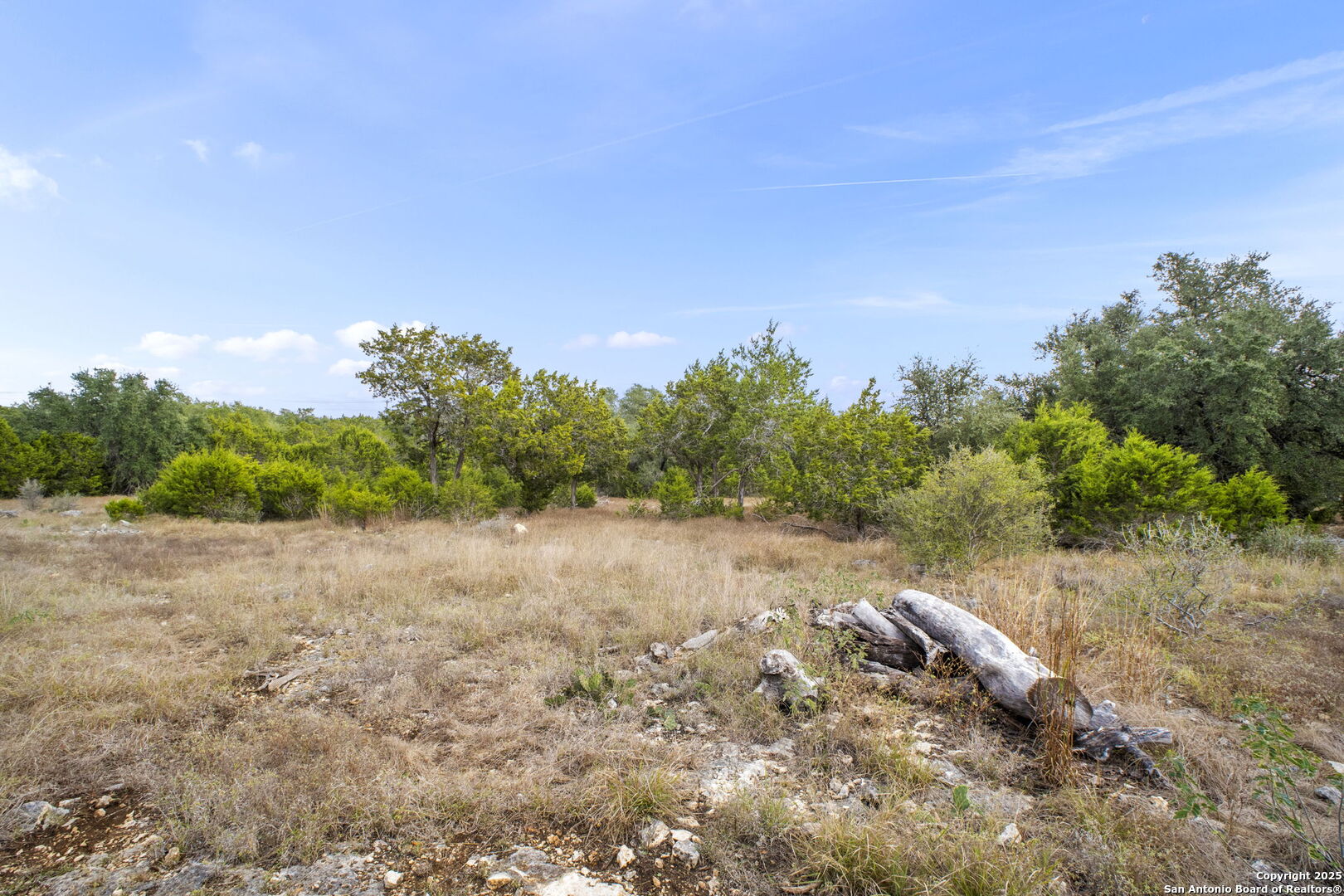 137 Red Tail Cove Spring Branch, TX 78070 - Photo 7 of 13 a view of a large yard with lots of green space