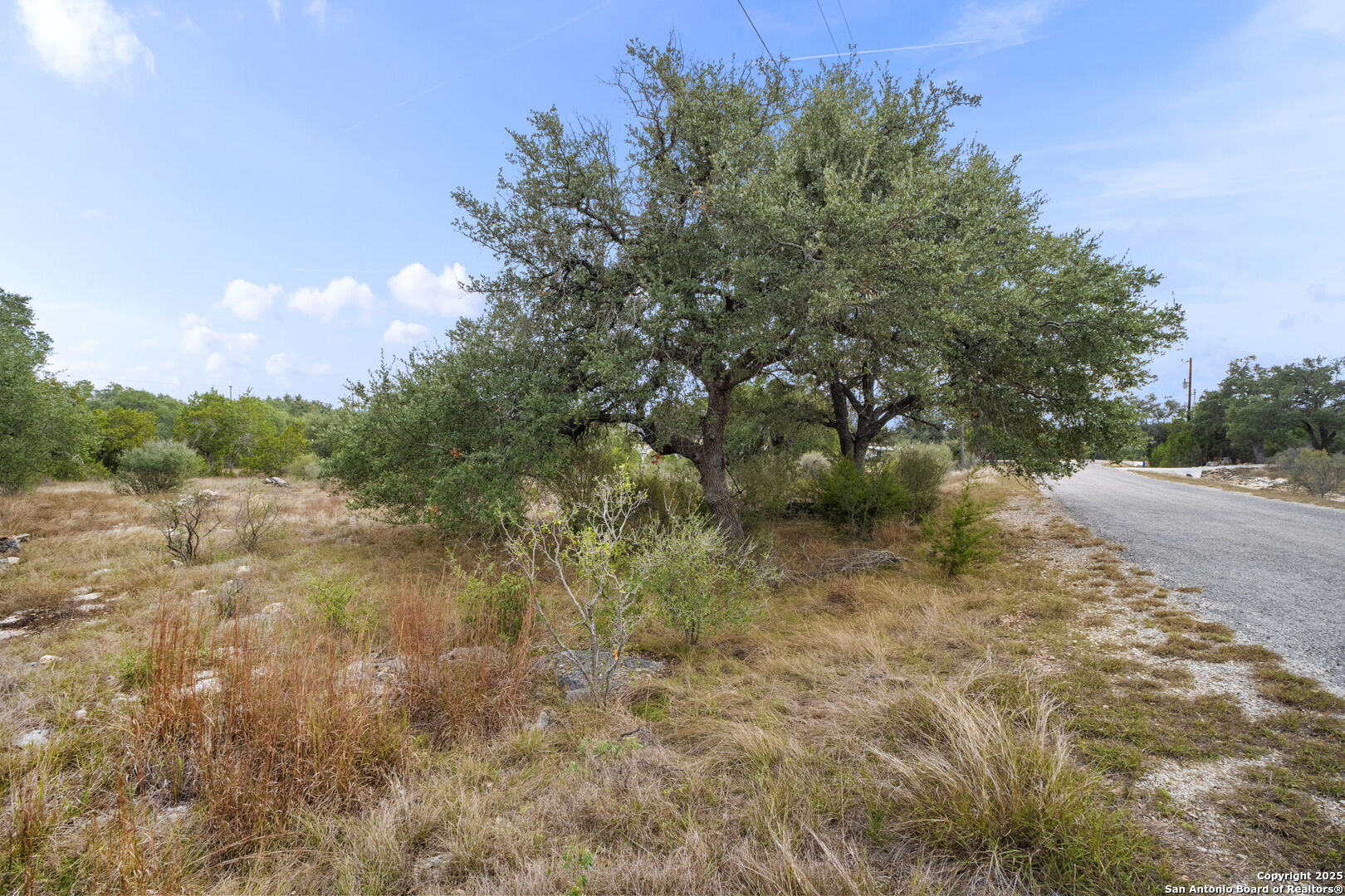 137 Red Tail Cove Spring Branch, TX 78070 - Photo 8 of 13 a view of a forest with trees in the background