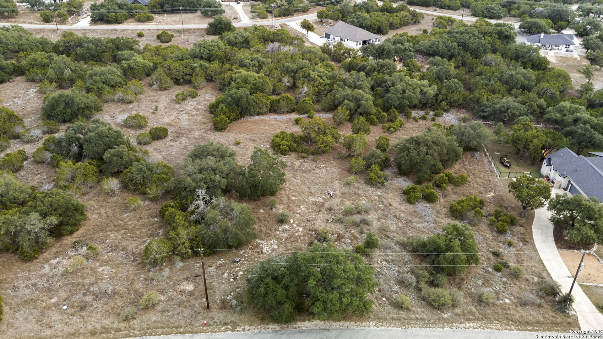 137 Red Tail Cove Spring Branch, TX 78070 - Photo 9 of 13 a view of a yard with plants