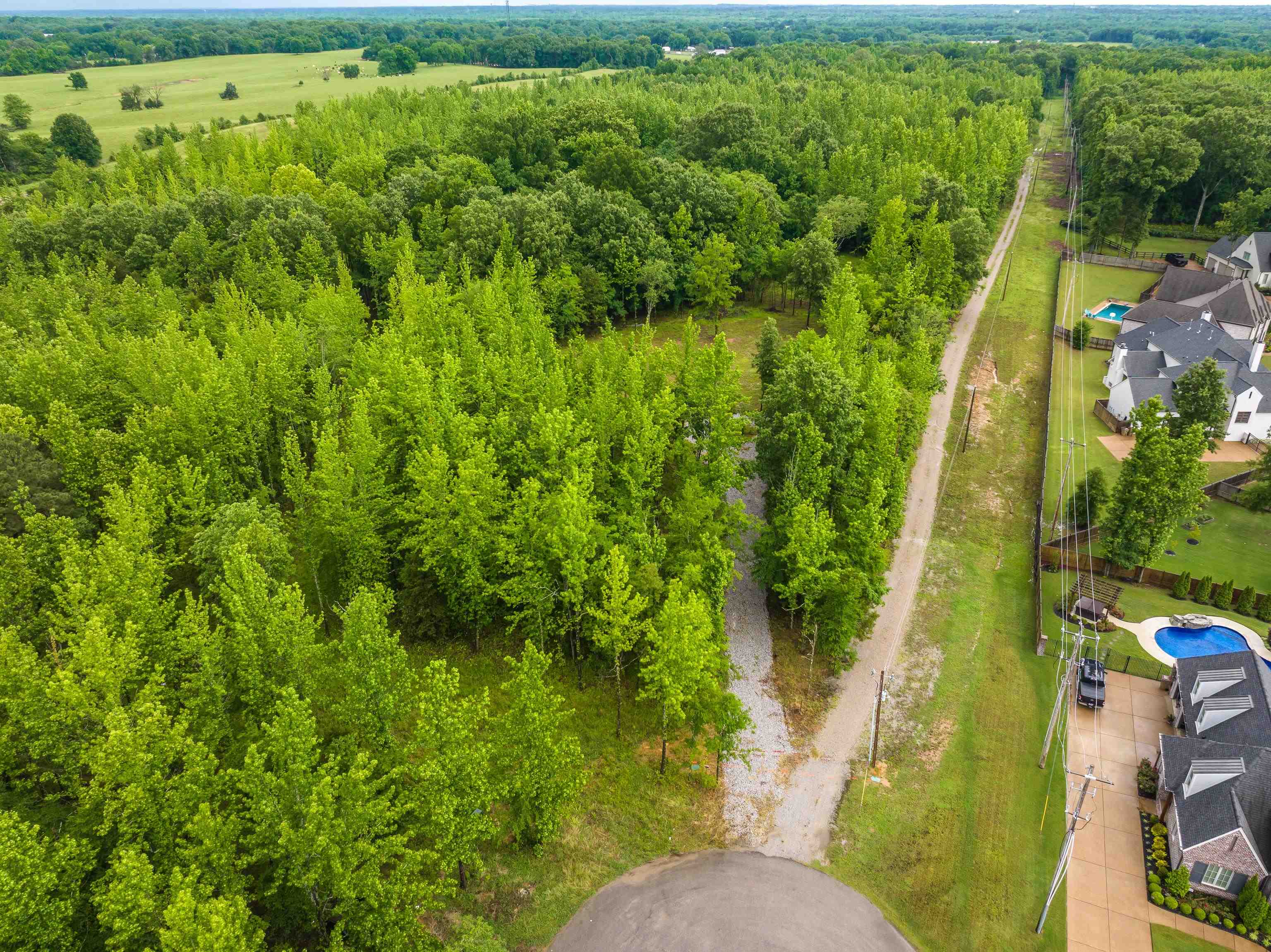 12800 Mags Lane Collierville, TN 38017 - Photo 1 of 16