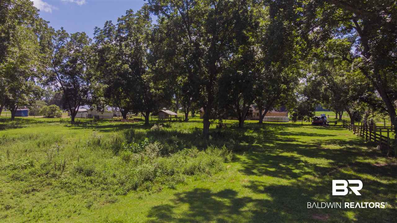 15308 County Road 83 Elberta, AL 36530 - Photo 18 of 45