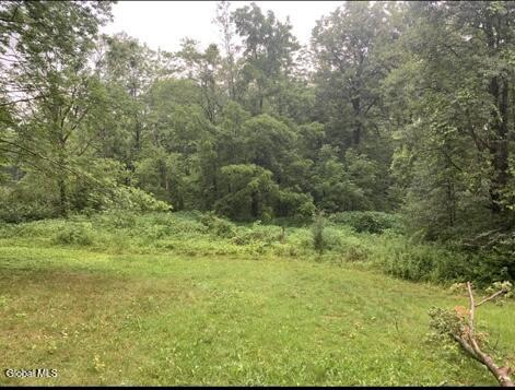 L48 Steadwell Road Amsterdam, NY 12010 - Photo 1 of 7 Land