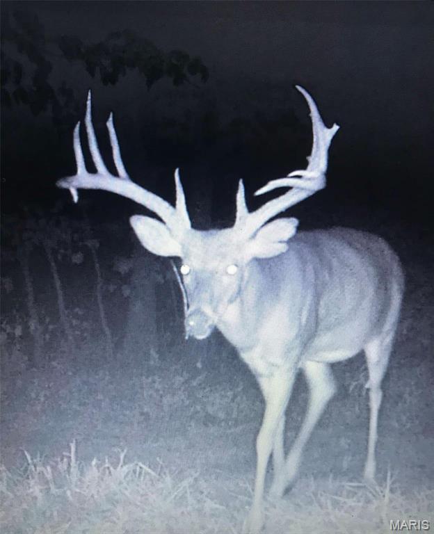 169 Clover Lane Bourbon, MO 65441 - Photo 12 of 12