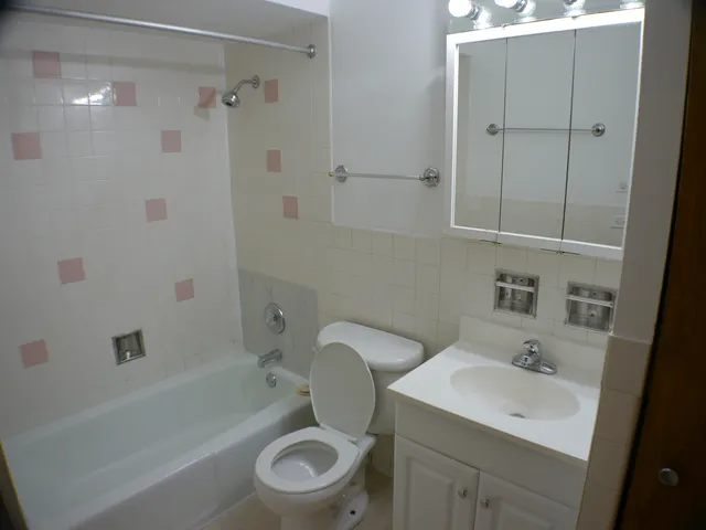 $1,300 | 11945 South Hamlin Avenue, Unit 2B, Alsip, IL 60803