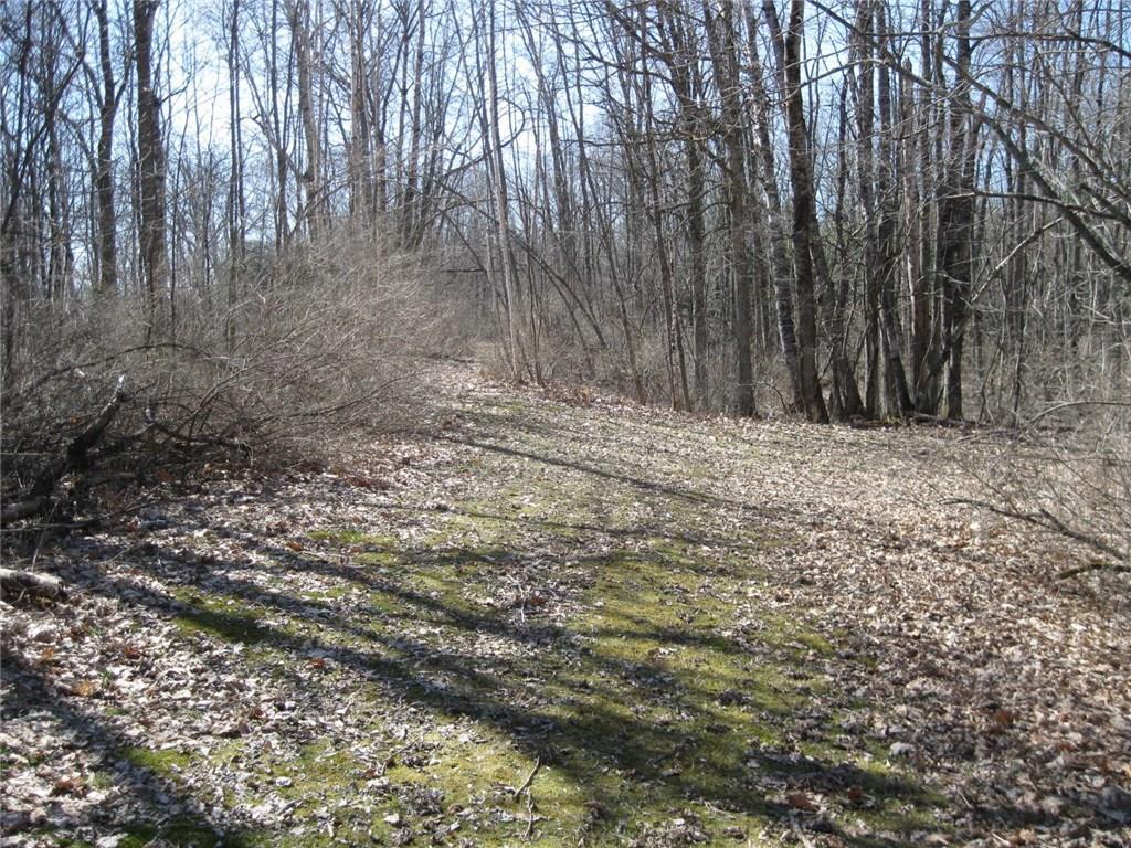 Lot 4 Cemetery Road Newport, ME 04953 - Photo 4 of 6 Photo