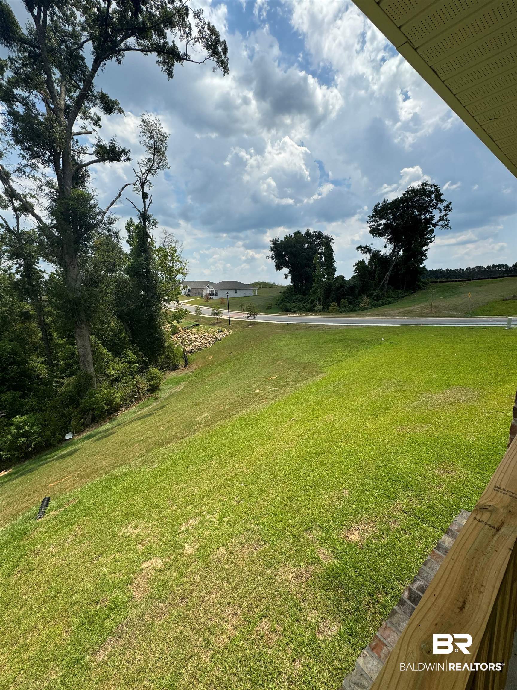 11335 Elemis Drive Daphne, AL 36526 - Photo 10 of 11 View of yard
