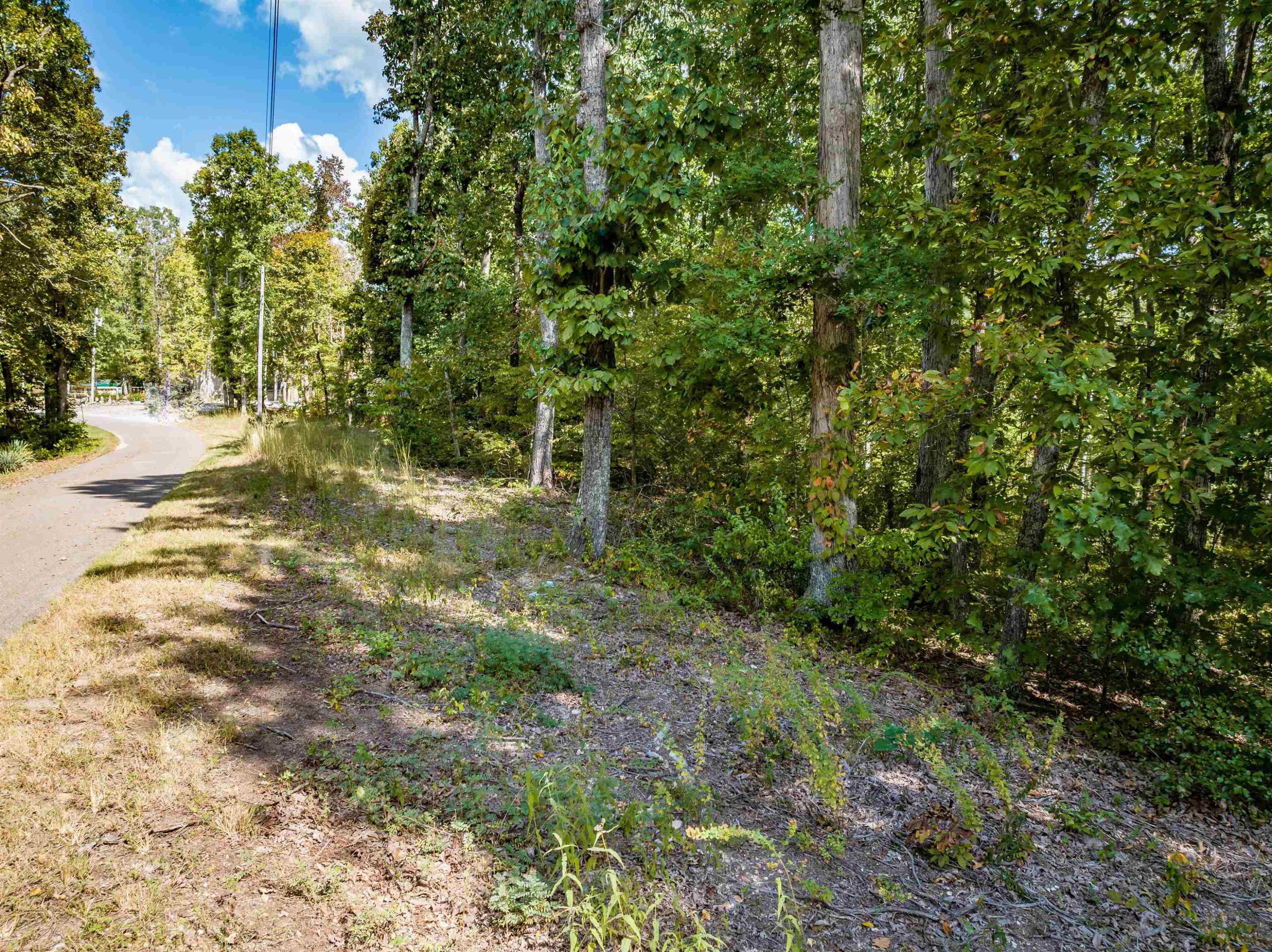 14-16 Ridgeway Drive Sugar Tree, TN 38380 - Photo 6 of 15 Photo 6