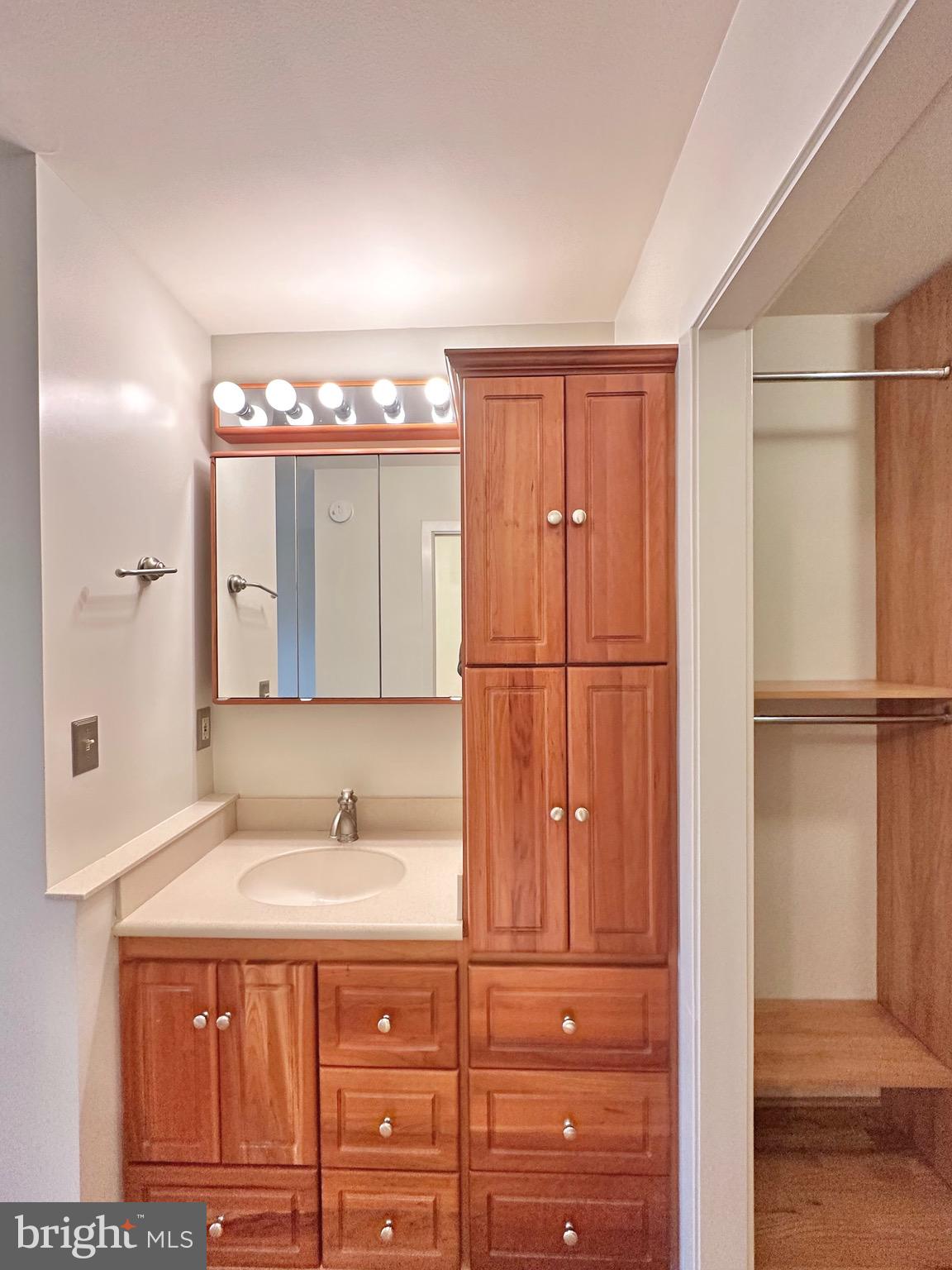 2021 Lakebreeze Way Reston, VA 20191 - Photo 29 of 51 a bathroom with a sink and a mirror