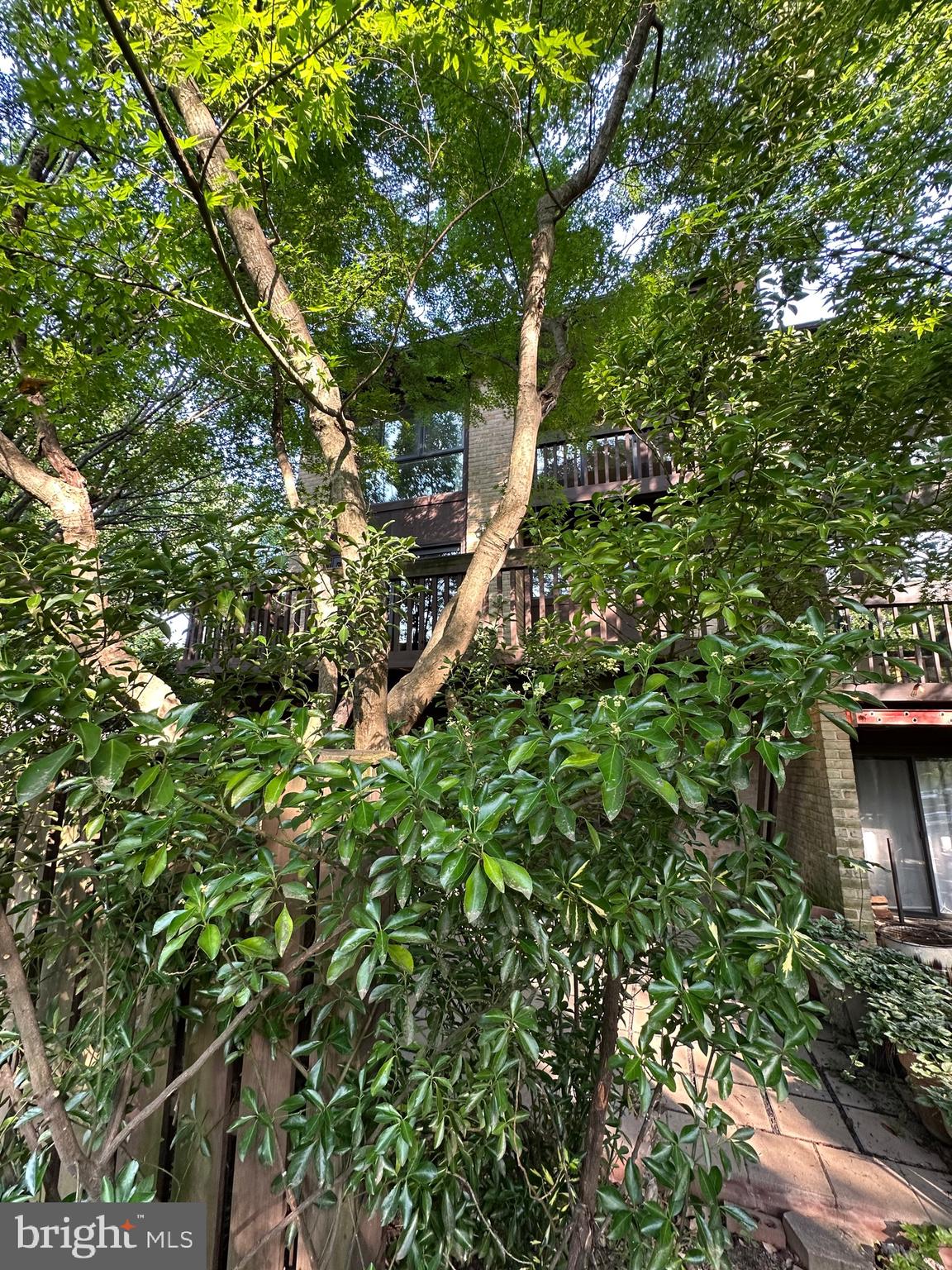 2021 Lakebreeze Way Reston, VA 20191 - Photo 48 of 51 a backyard of a house with lots of green space