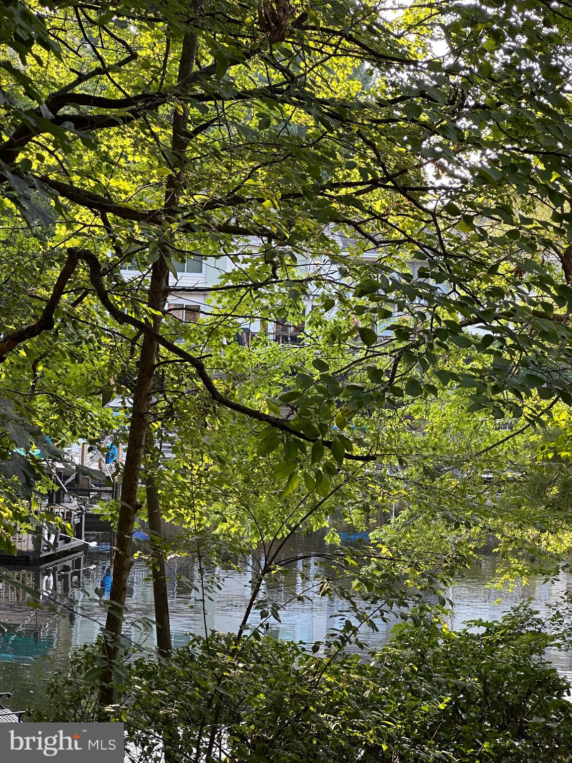 2021 Lakebreeze Way Reston, VA 20191 - Photo 50 of 51 a view of a tree