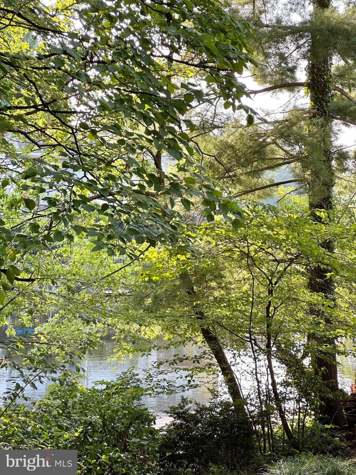 2021 Lakebreeze Way Reston, VA 20191 - Photo 51 of 51 a view of a tree in a yard