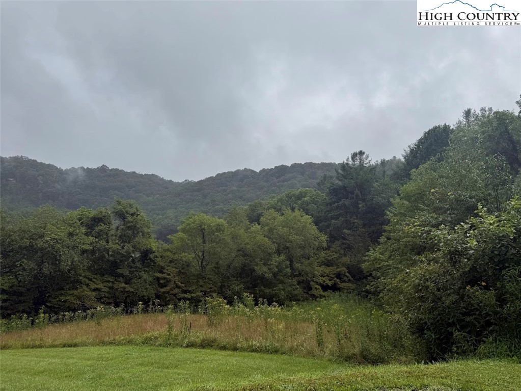 Stoney Brook Drive Lansing, NC 28643 - Photo 7 of 25 a view of a grassy area with an trees