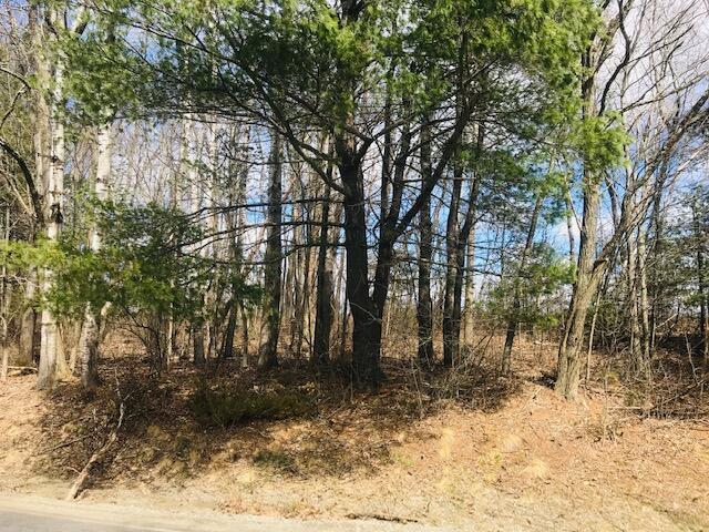 Lot 60 Wiscasset Road Whitefield, ME 04353 - Photo 5 of 10 lot