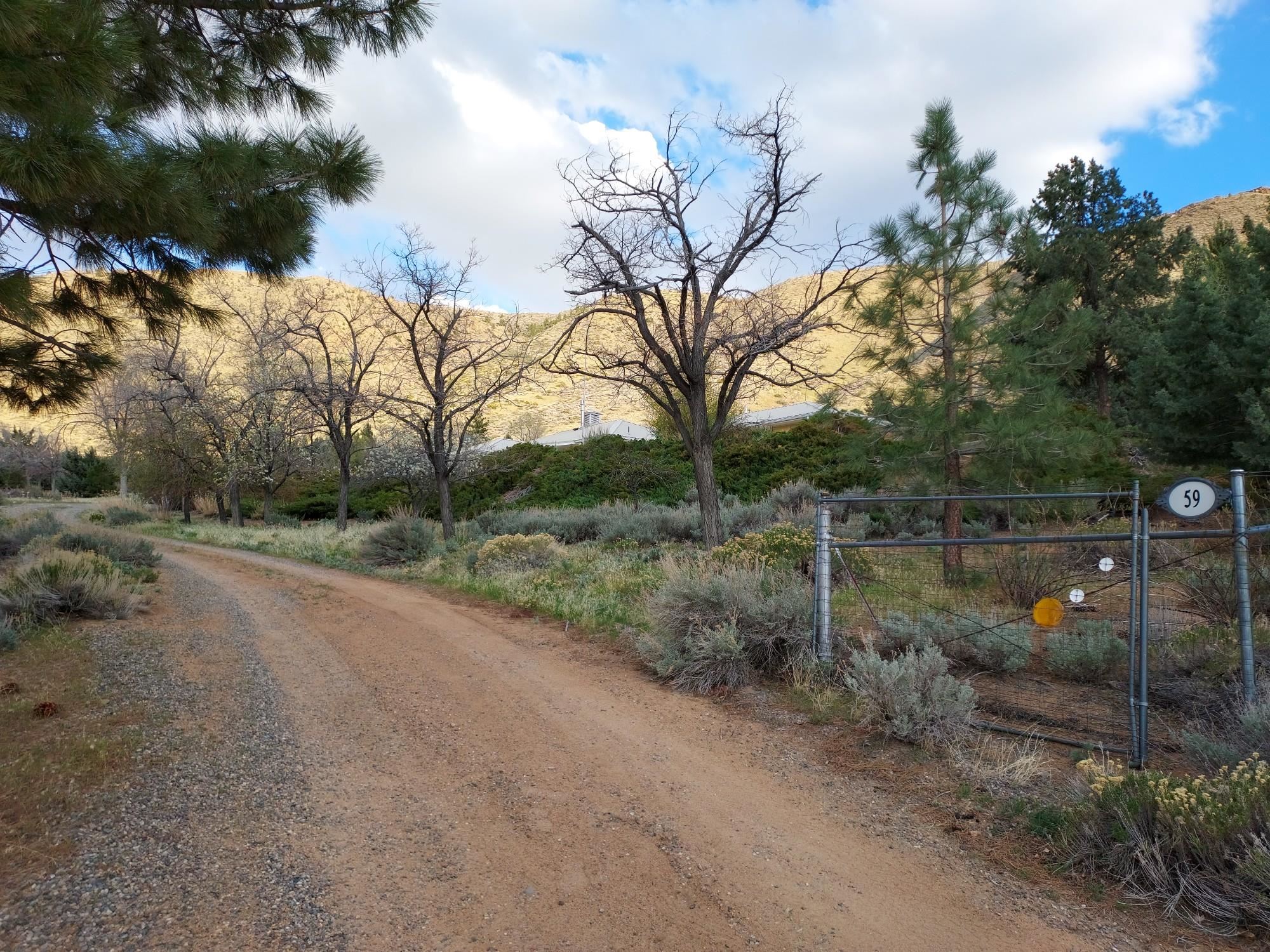 59 Dry Canyon Road Coleville, CA 96107 - Photo 14 of 15 View of road