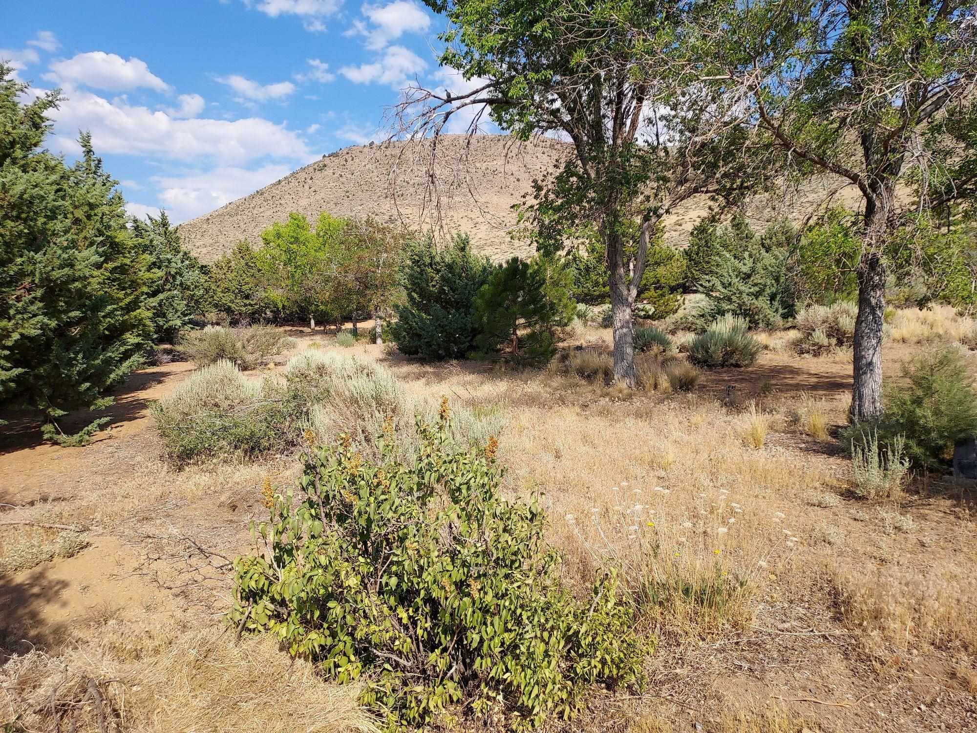59 Dry Canyon Road Coleville, CA 96107 - Photo 15 of 15 View of dirt / gravel road featuring a mountain view