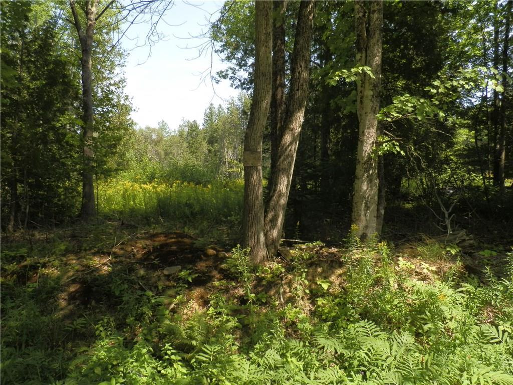 Lot 5-6 Pullen Road Dexter, ME 04930 - Photo 6 of 18 Photo