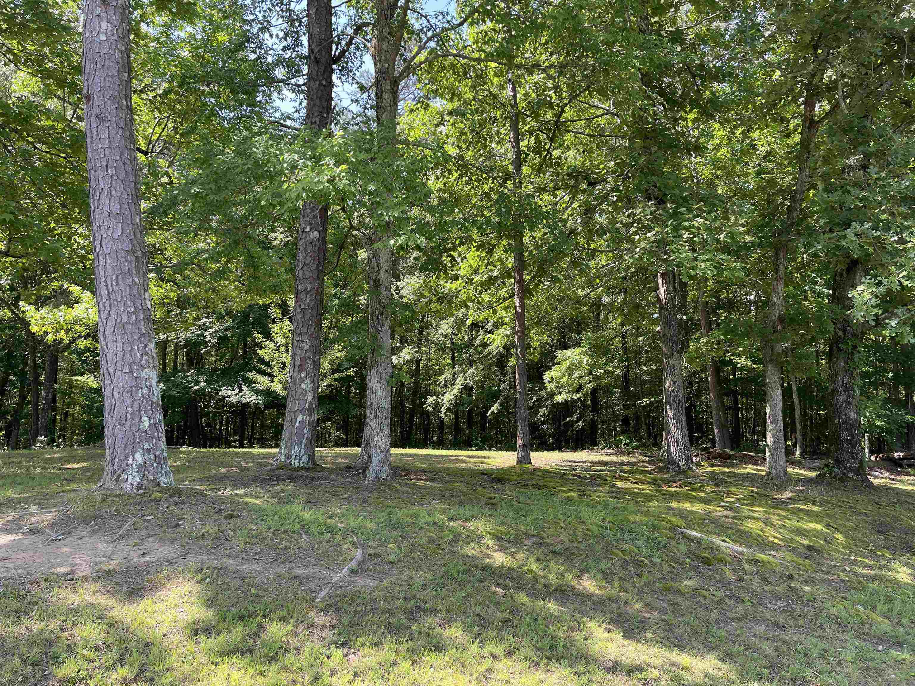 1088 Rose Creek Road Selmer, TN 38375 - Photo 32 of 40 Gallery Image 32