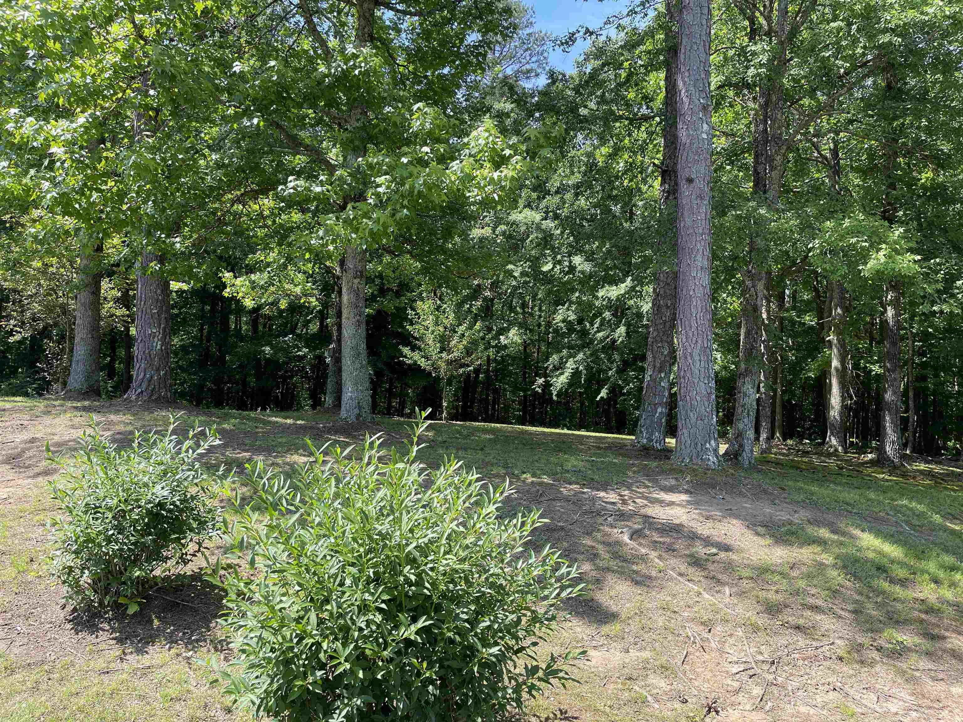 1088 Rose Creek Road Selmer, TN 38375 - Photo 33 of 40 Gallery Image 33