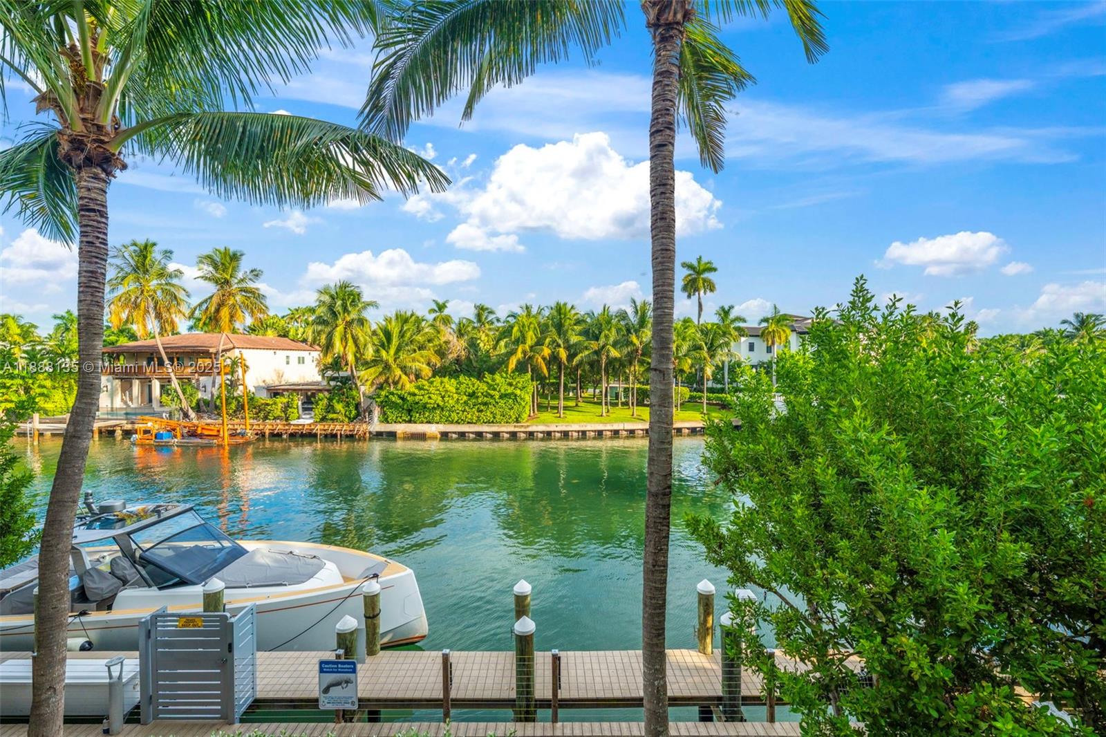 a lake view with palm trees