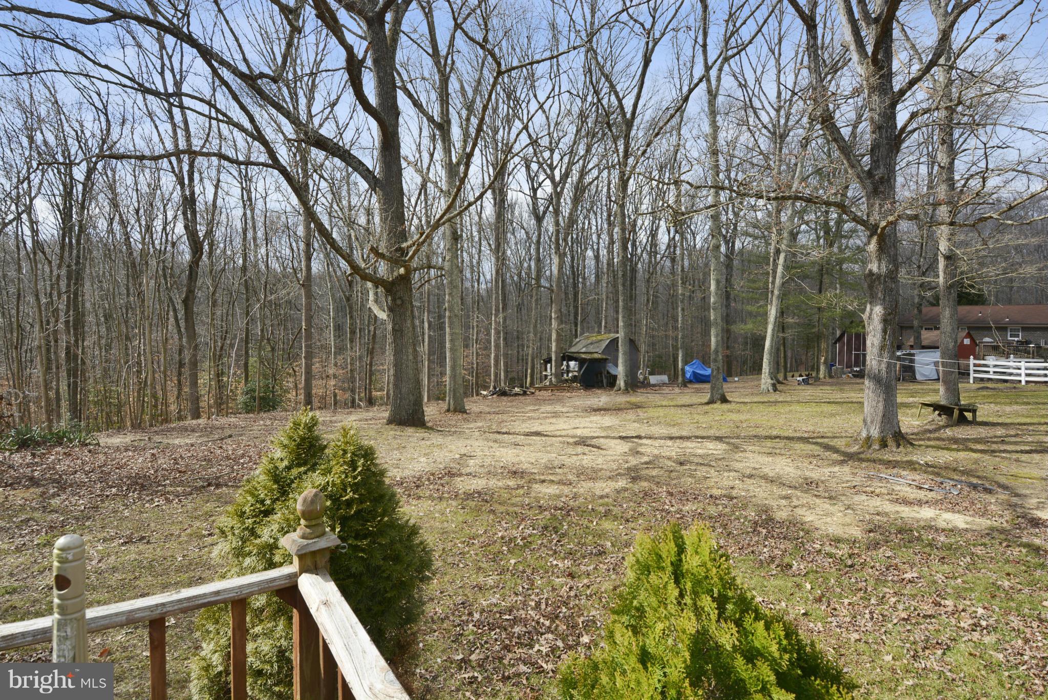 7375 Billingsley Road Bryans Road, MD 20616 - Photo 28 of 30 Back yard