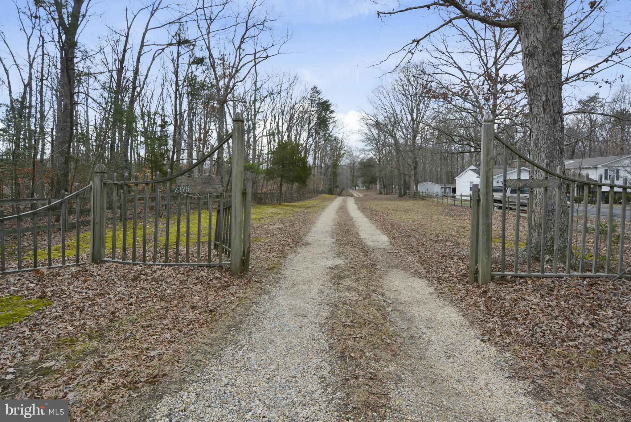 7375 Billingsley Road Bryans Road, MD 20616 - Photo 29 of 30 Driveway