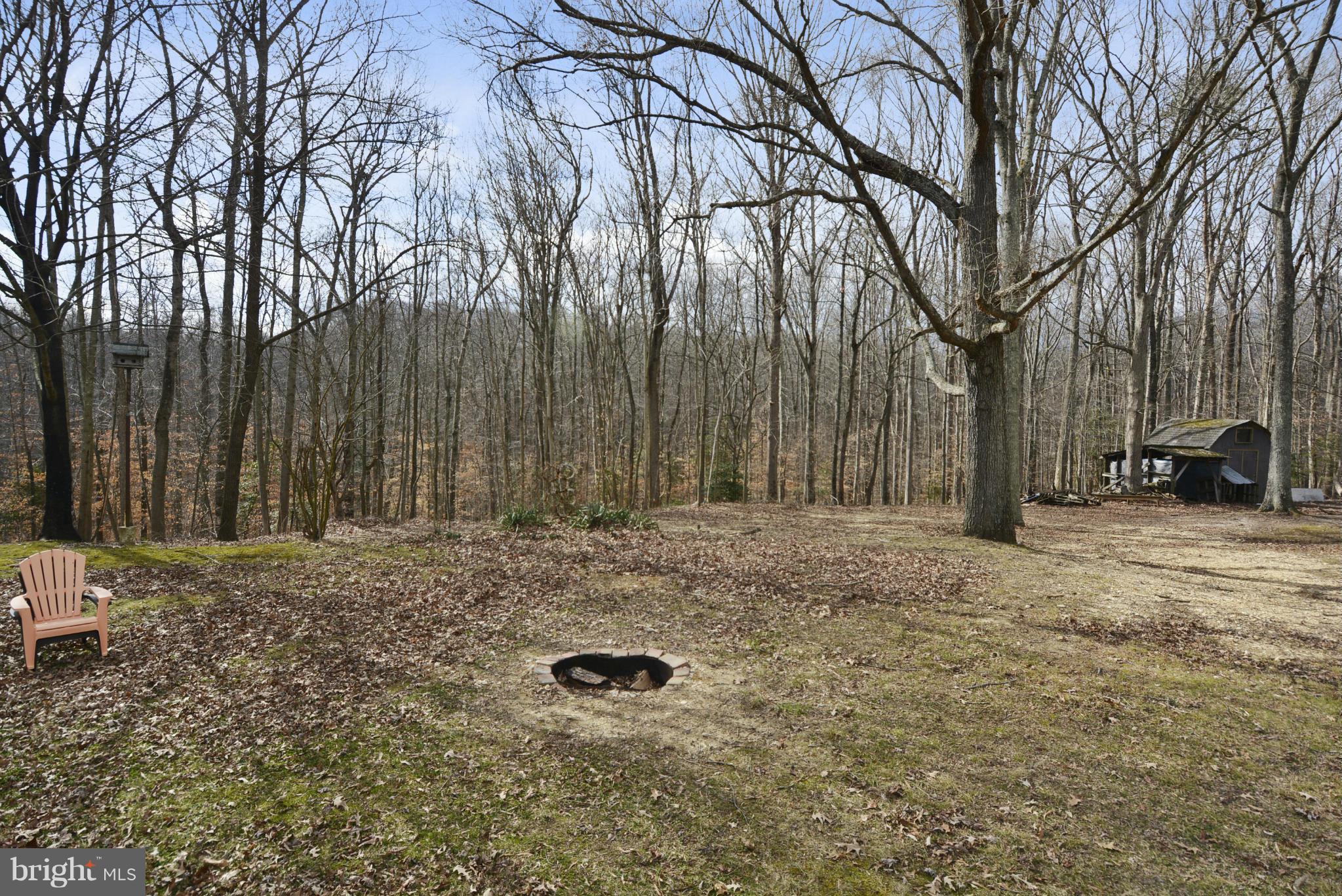 7375 Billingsley Road Bryans Road, MD 20616 - Photo 30 of 30 Yard