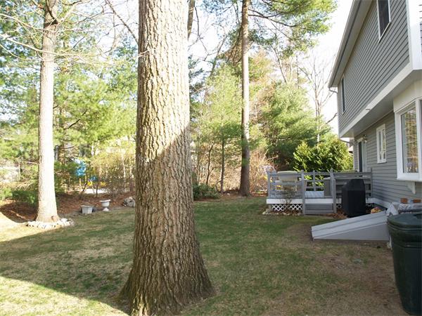 80 Stonegate Road Chelmsford, MA 01824 - Photo 20 of 20 a view of a yard with plants and trees