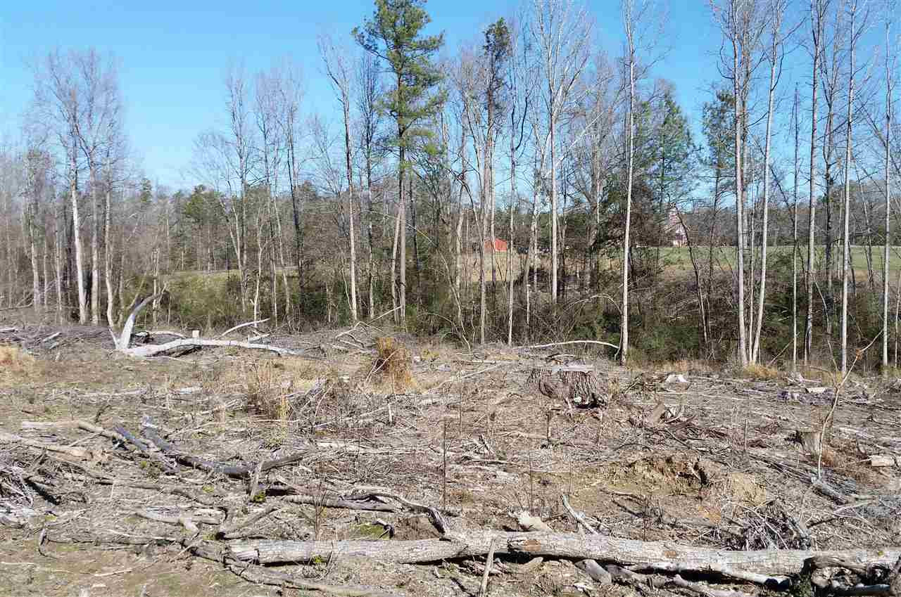 Chicken Bridge Road Pittsboro, NC 27312 - Photo 8 of 12 Imagine the view once home site is cleared