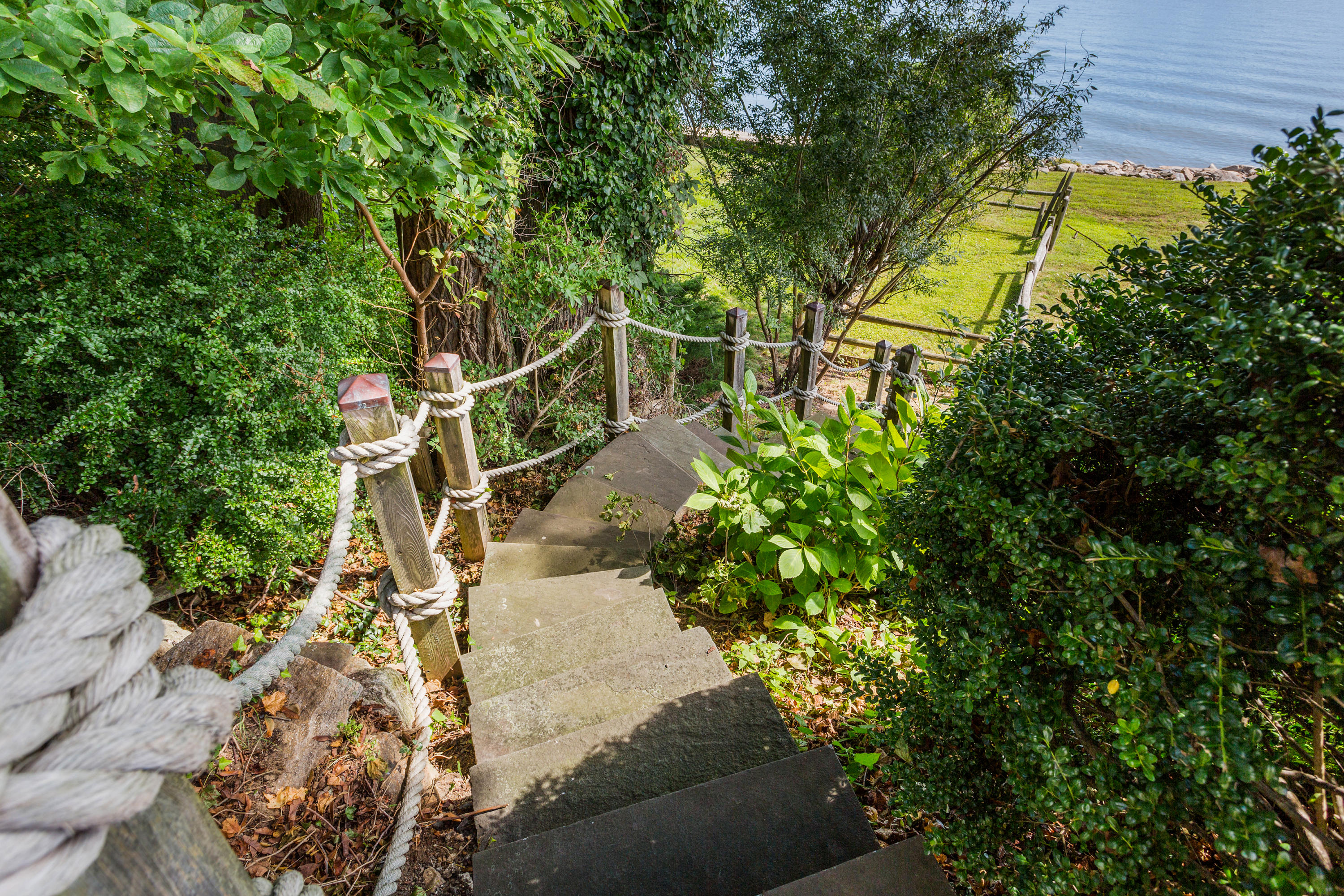 16 Nathan Hale Drive Norwalk, CT 06854 - Photo 27 of 29 a view of a yard with plants and large trees