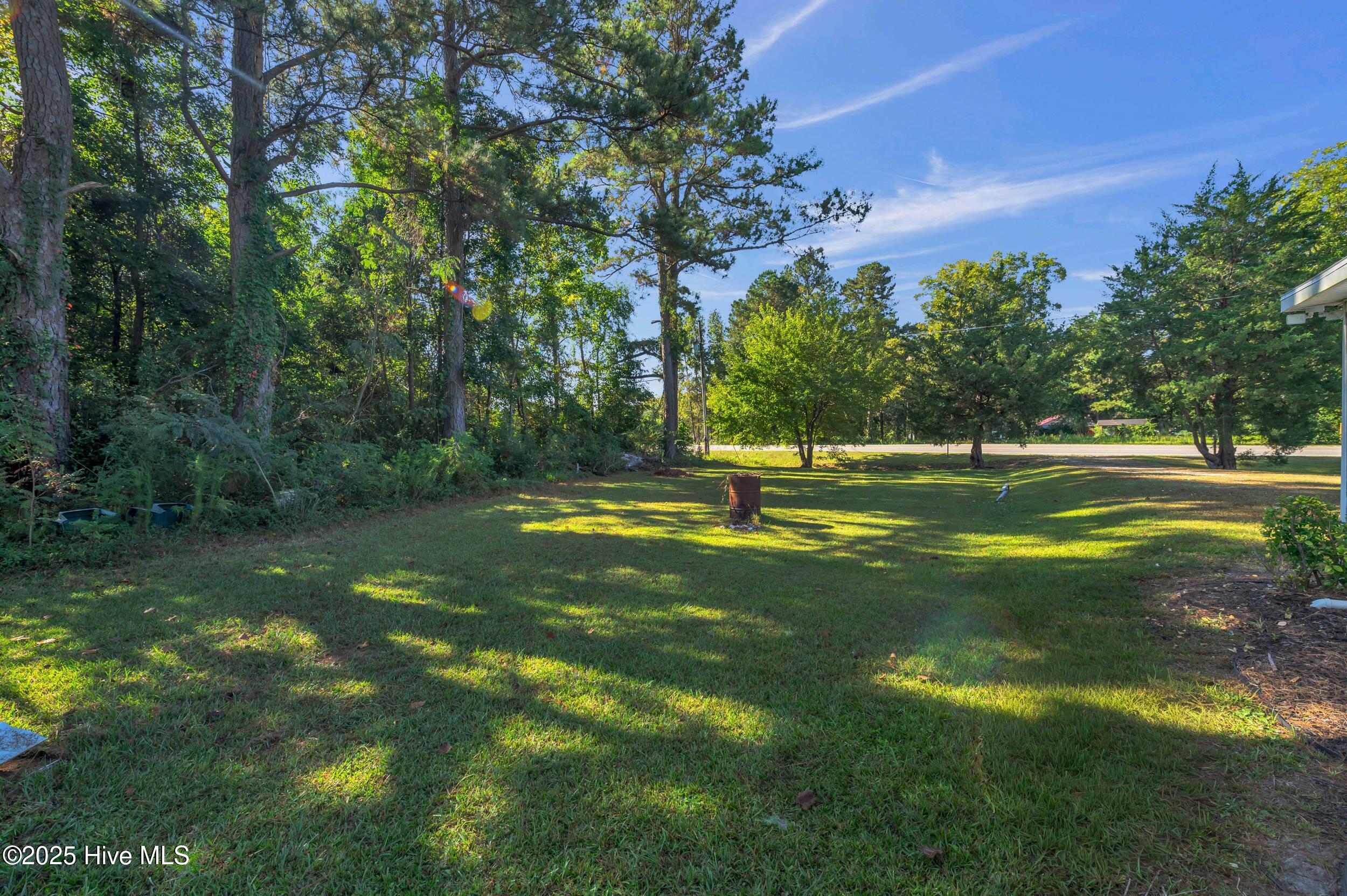 351 Green Swamp Road South Bolton, NC 28423 - Photo 32 of 44 32_351 green swamp rd s-00032