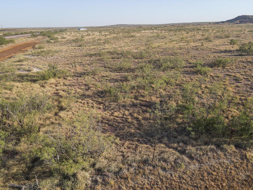 Drone View