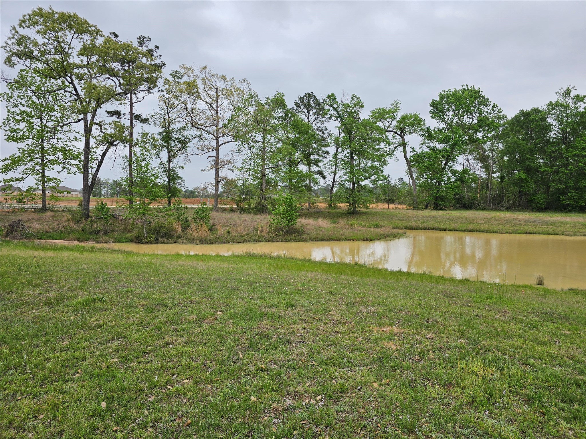 15784 Tree Monkey Road Conroe, TX 77303 - Photo 10 of 40