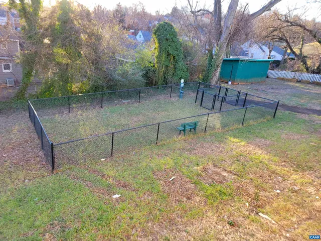 a view of backyard with table and chairs and a large tree