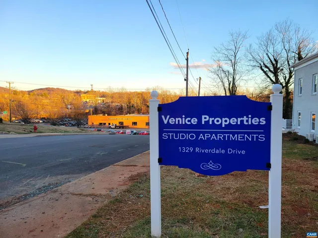 a view of a park with large trees