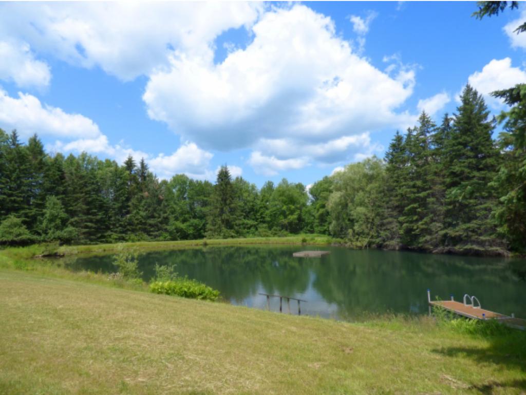 415 Upper Hollow Road Stowe, VT 05672 - Photo 5 of 36
