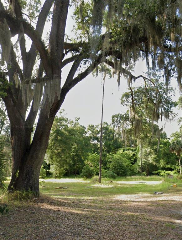 a view of a yard in a yard