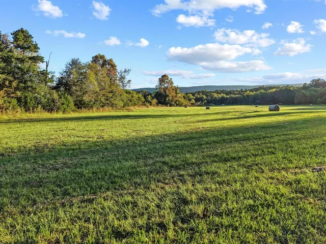 a view of a field with an trees in the background
