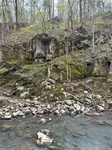 a view of a lake from a yard